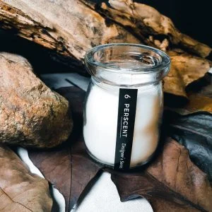 GEO-Inspired Scented SOY candles by 6perscent (100g)